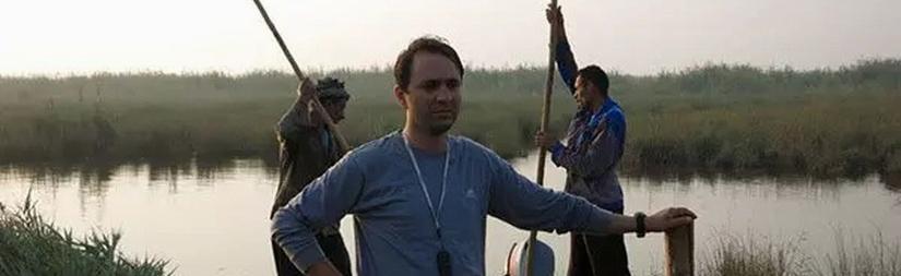 مناصرة الذئاب 